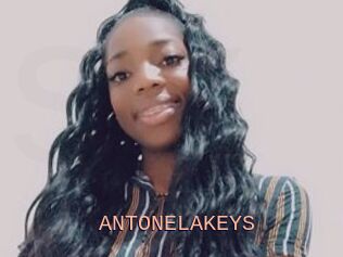 ANTONELAKEYS