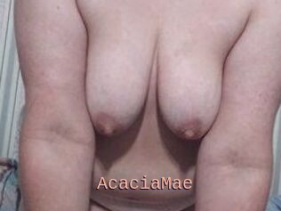 AcaciaMae