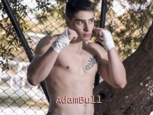AdamBull