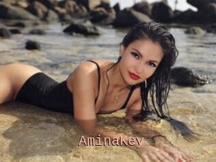 AminaKey