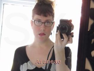 Araneae
