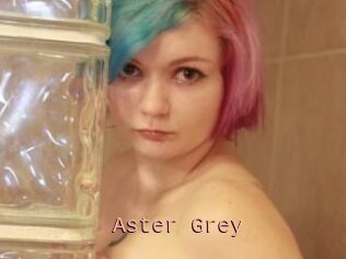 Aster_Grey