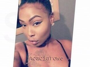 Acacia_rowe