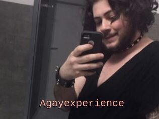 Agayexperience