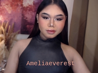 Ameliaeverest