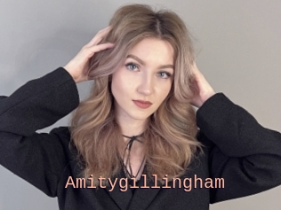Amitygillingham