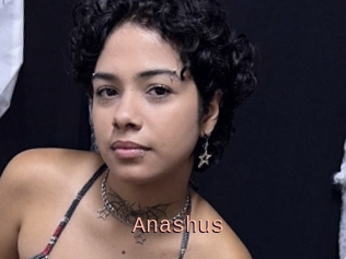 Anashus