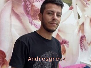 Andresgreys
