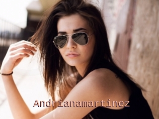 Andrianamartinez