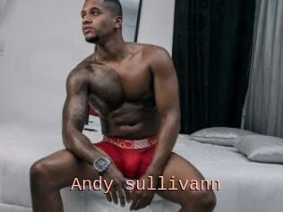 Andy_sullivann