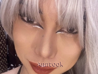 Anntook