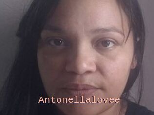 Antonellalovee