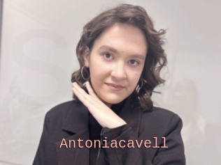 Antoniacavell