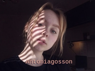 Antoniagosson