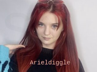 Arieldiggle