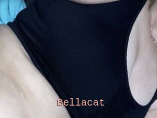 Bella_cat