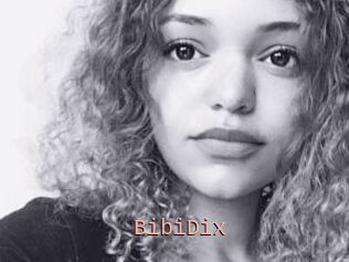 BibiDix