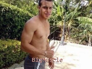 Big_Muscle