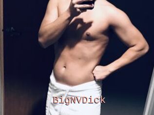 BigNVDick