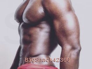 BigSnack42300
