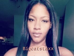 Bigcatstaxx