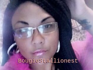 BougieStallionest