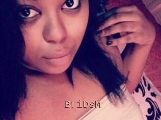 BriDsM