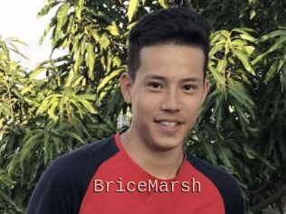 BriceMarsh