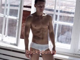 BucksBunny