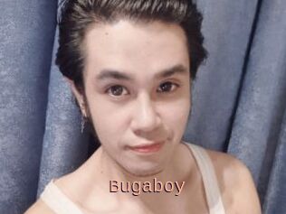 Bugaboy