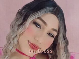 Barbross