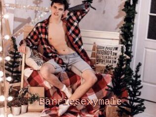 Barriesexymale