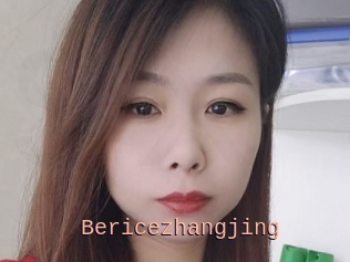 Bericezhangjing