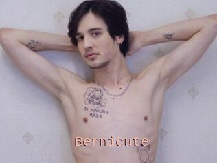 Bernicute