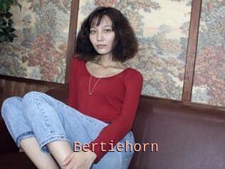 Bertiehorn