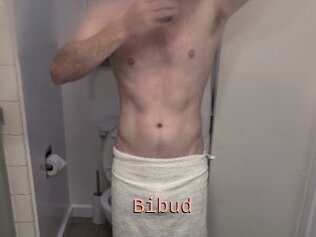 Bibud