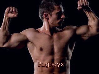 Bigboyx