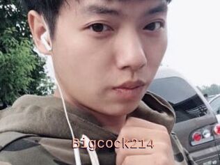 Bigcock214