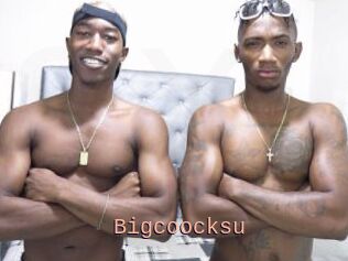 Bigcoocksu
