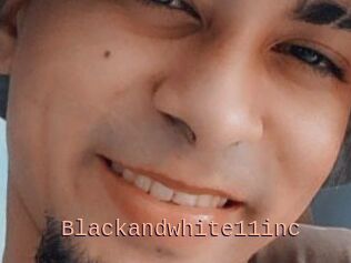 Blackandwhite11inc