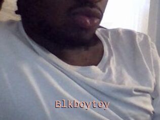 Blkboytoy