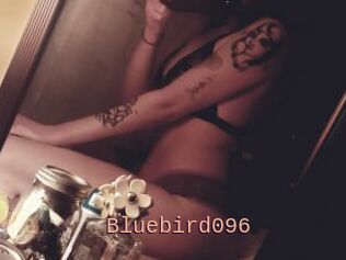 Bluebird096