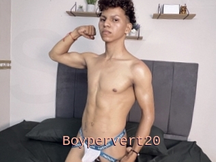 Boypervert20