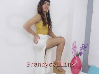 Brandycollins
