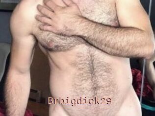 Brbigdick29