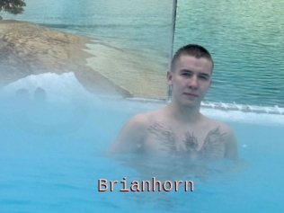 Brianhorn