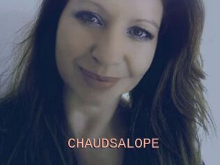 CHAUDSALOPE