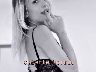 Colette_bermud