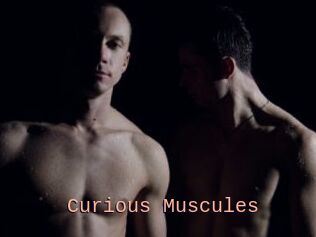 Curious_Muscules