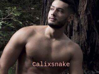 Calixsnake